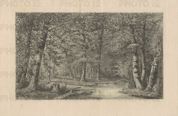 Beech Forest, 1870s-1880s.