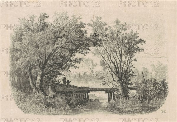Willows, 1870s-1880s.
