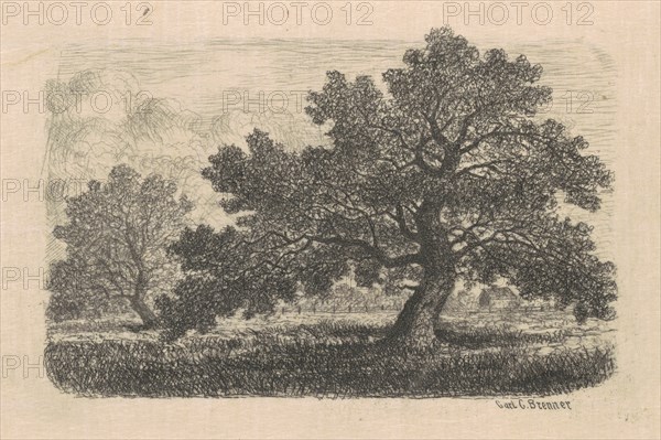 Apple Trees, 1870s-1880s.