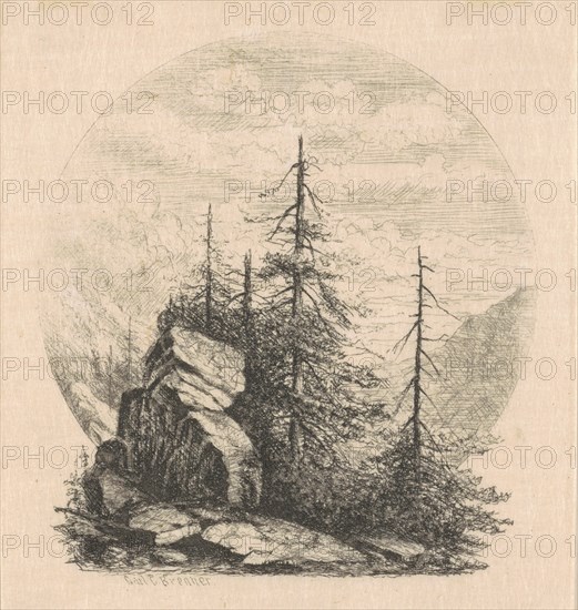 Pines, 1870s-1880s.
