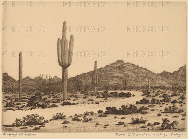 Road to Paradise Valley, Arizona, c. 1926.