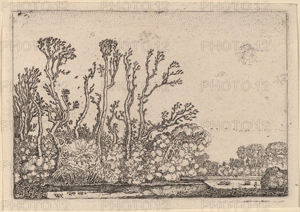 Herd of Sheep near the Hague, 1621.