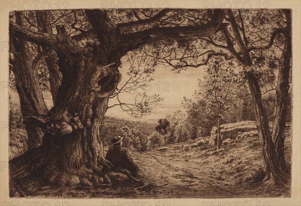 On The Hillside, 1880.