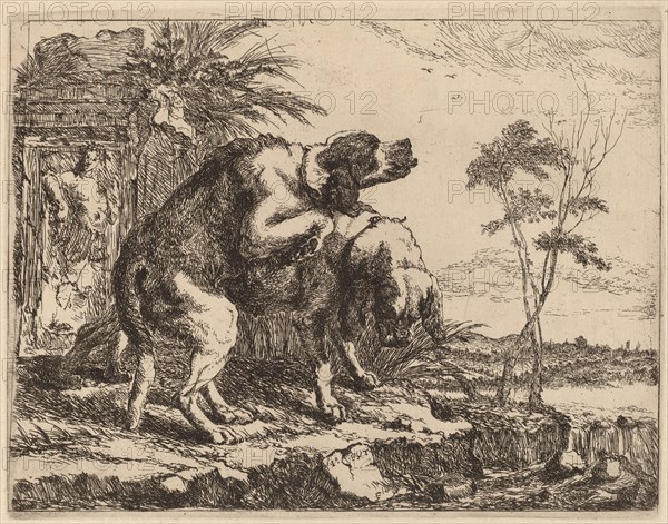 Two Dogs Copulating, probably c. 1640/1642.