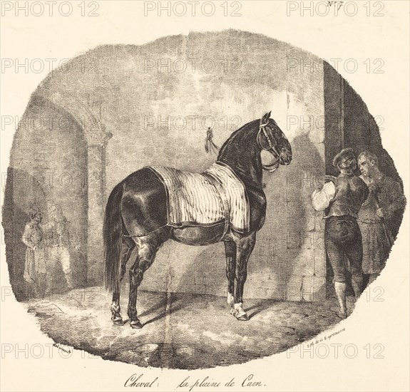 Cheval de la plaine de Caen, 1822.