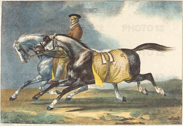 Two Dapple-Gray Horses Exercising (Deux chevaux gris pommele que l'on promene), 1822.