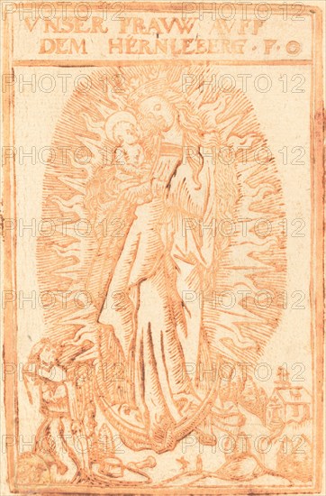Madonna of the Hernleberg, 1626.