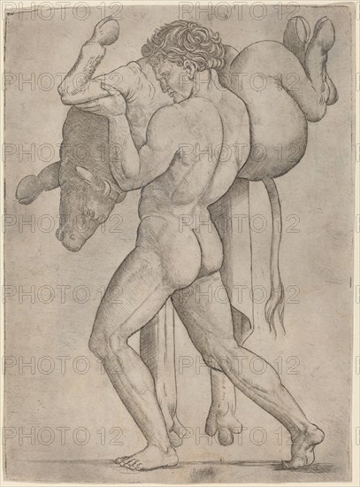Hercules and the Cretan Bull, c. 1514/1515.