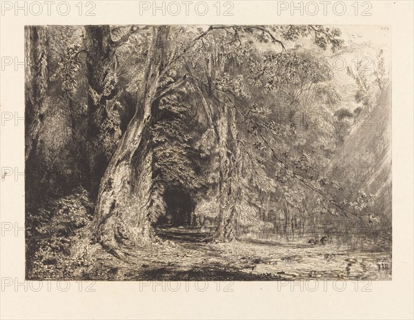 Flooding in the Forest of the Ile Séguin, 1833.