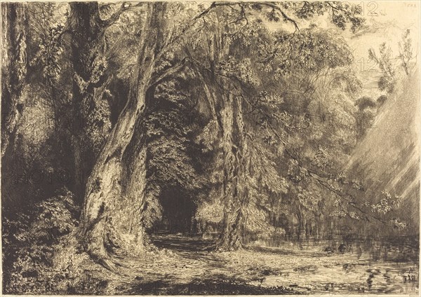 Flooding in the Forest of the Ile Séguin, c. 1833.