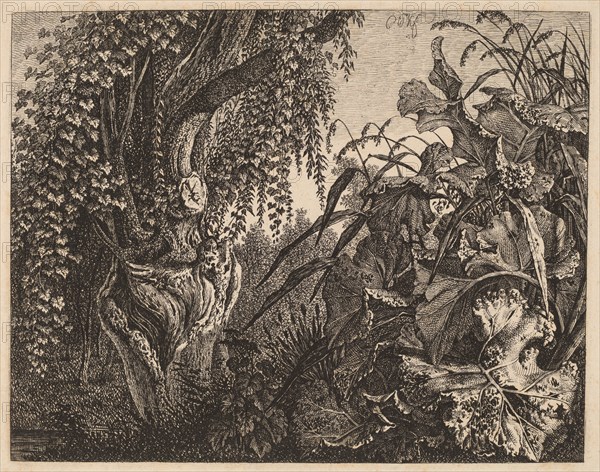 A Thicket; a Gnarled Willow Tree at Left, a Thicket of Vegetation at Right, 1820/1835.