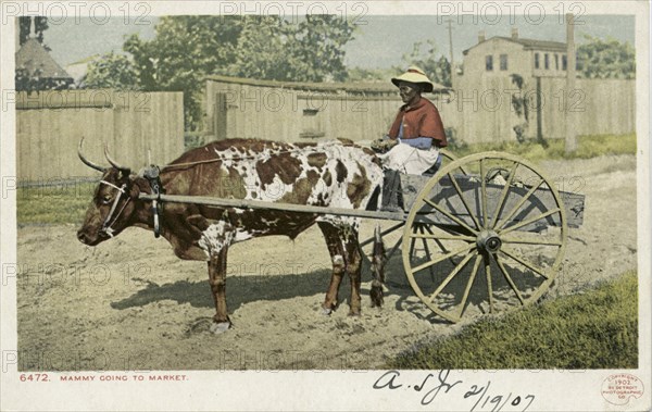 Mammy going to Market, 1902 - 1903.