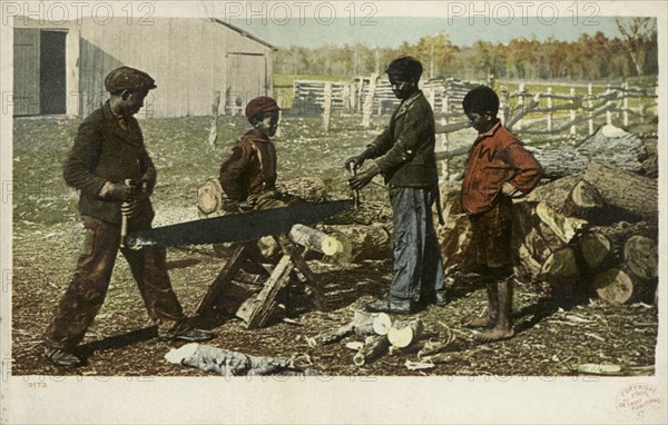 Nigger in the Woodpile, ca.1898 - 1931.