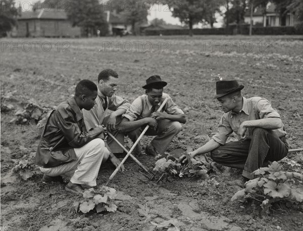 Fort Valley Normal and Industrial School, experimental garden, 1939 - 1943.