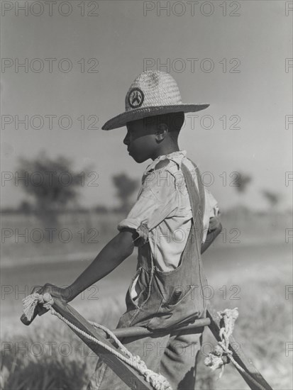 Resting the mules which get too hot when the cotton is high in mid-summer..., August 1940. Creators: Farm Security Administration, Marion Post Wolcott.