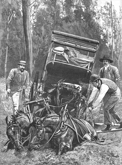 ''"Mired" -- Travelling under difficulties in Tasmania', 1890. Creator: Unknown.