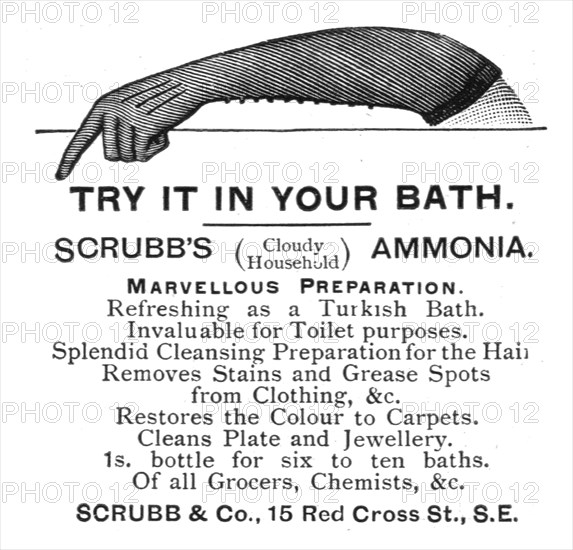 ''Scrubb & Co.', 1891. Creator: Unknown.