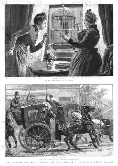 ''The Parrot and the Cabbies - An Incident at a Seaside Holiday Resort', 1891.