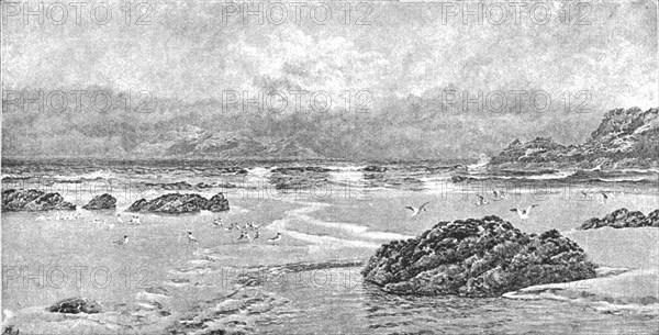 ''Pictures of the Year - V. "Gull Island: A Conversazione", after John Brett, ARA', 1891. Creator: Unknown.