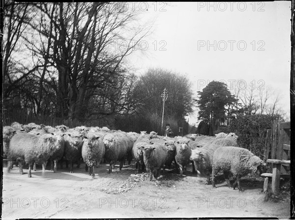 Broomfield, Broomfield and Kingswood, Maidstone, Kent, 1904. Creator: Katherine Jean Macfee.