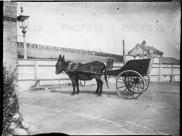 Hollingbourne Station, Hollingbourne, Maidstone, Kent, 1904. Creator: Katherine Jean Macfee.