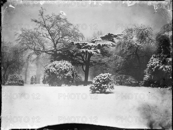 Kensington Gardens, Hyde Park, City of Westminster, London, 1905. Creator: Katherine Jean Macfee.