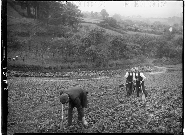 Cheddar, Sedgemoor, Somerset, 1907. Creator: Katherine Jean Macfee.