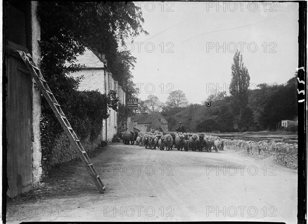 The Cliffs, Cheddar, Sedgemoor, Somerset, 1907. Creator: Katherine Jean Macfee.