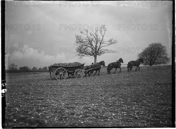 Slindon, Arun, West Sussex, 1908. Creator: Katherine Jean Macfee.