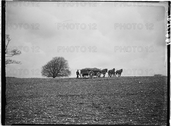 Slindon, Arun, West Sussex, 1908. Creator: Katherine Jean Macfee.