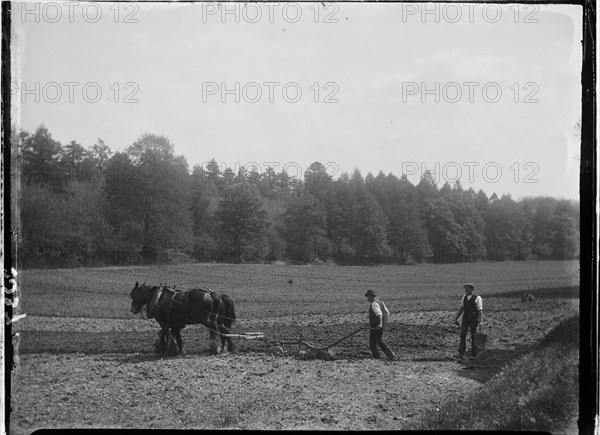 Frensham, Waverley, Surrey, 1909. Creator: Katherine Jean Macfee.