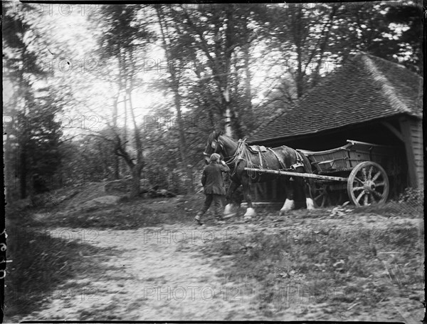 Groombridge, Speldhurst, Tunbridge Wells, Kent, 1911. Creator: Katherine Jean Macfee.