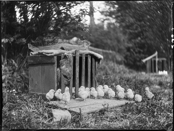 Clayton's Farm, Speldhurst, Tunbridge Wells, Kent, 1911. Creator: Katherine Jean Macfee.