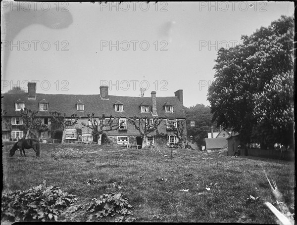 The Walks, Groombridge, Speldhurst, Tunbridge Wells, Kent, 1911. Creator: Katherine Jean Macfee.