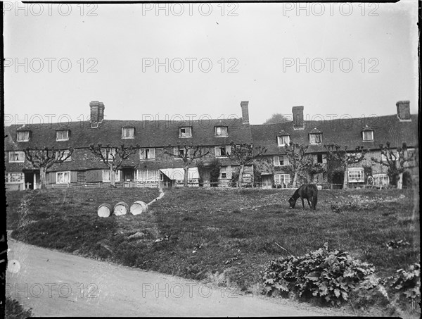 The Walks, Groombridge, Speldhurst, Tunbridge Wells, Kent, 1911. Creator: Katherine Jean Macfee.