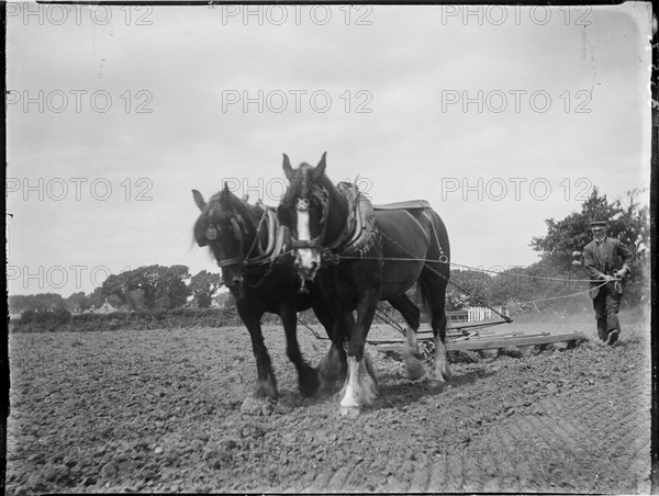 Easton, Freshwater, Isle of Wight, 1914. Creator: Katherine Jean Macfee.