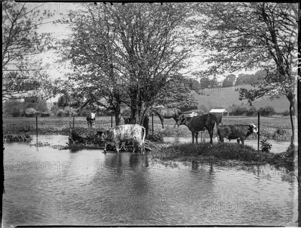 Chorleywood, Three Rivers, Hertfordshire, 1915. Creator: Katherine Jean Macfee.