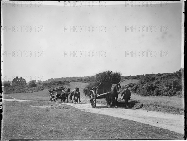 Chorleywood Common, Chorleywood, Three Rivers, Hertfordshire, 1915. Creator: Katherine Jean Macfee.