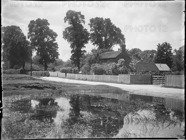 Chorleywood Common, Chorleywood, Three Rivers, Hertfordshire, 1915. Creator: Katherine Jean Macfee.