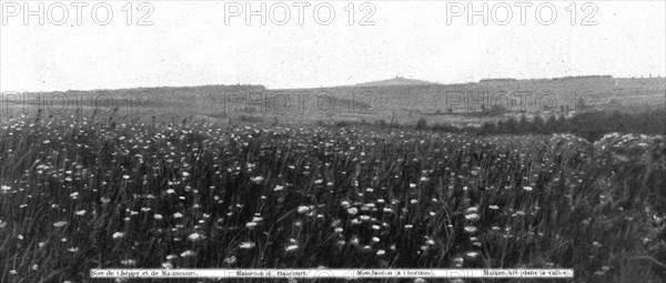 'Panoramas du champ de bataille, a l'ouest de la Meuse; Les arbres, sur la crete..., 1916. Creator: Unknown.