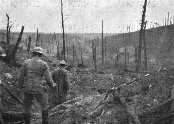 'La reprise du bois de la Caillette; Dans le ravin de la Caillette : au fond, le bois de..., 1916. Creator: Unknown.