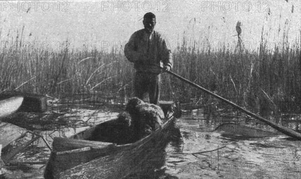 'La guerre aerienne en Macedoine Grecque : un avion ennemi "Descendu" dans le lac amatovo..., 1916. Creator: Unknown.