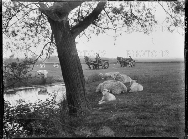 Luckhurst, Lower Road, Stone-cum-Ebony, Ashford, Kent, 1926. Creator: Katherine Jean Macfee.