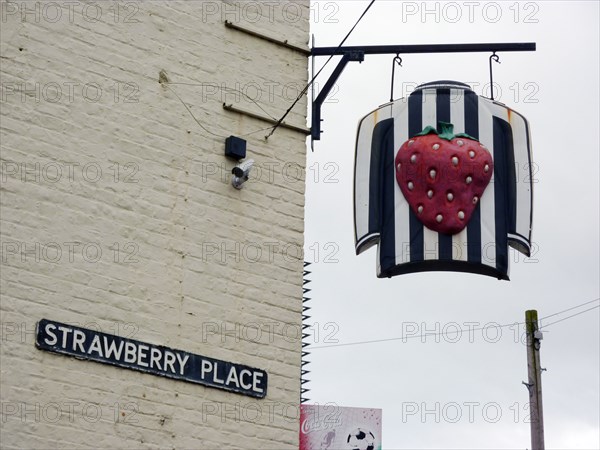 The Strawberry Public House, 7-8 Strawberry Place, Newcastle upon Tyne, 2010. Creator: Simon Inglis.