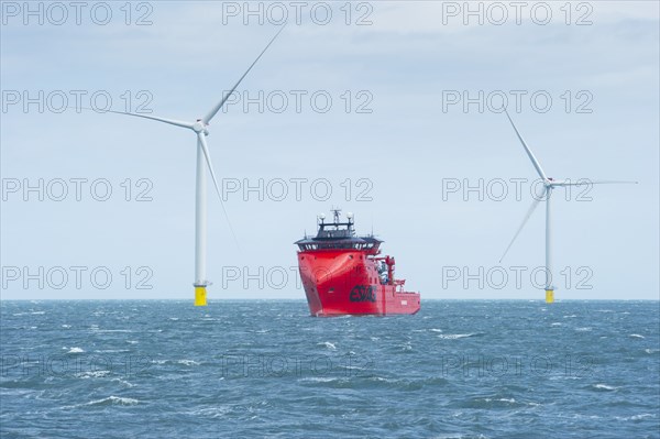 Westermost Rough Wind Farm, 2015. Creator: Alun Bull.