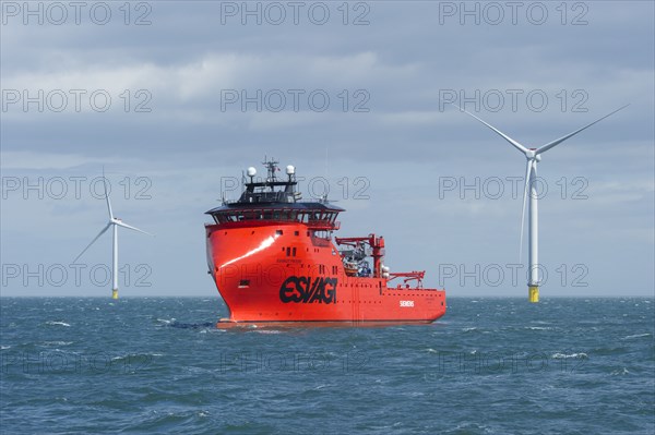 Westermost Rough Wind Farm, 2015. Creator: Alun Bull.