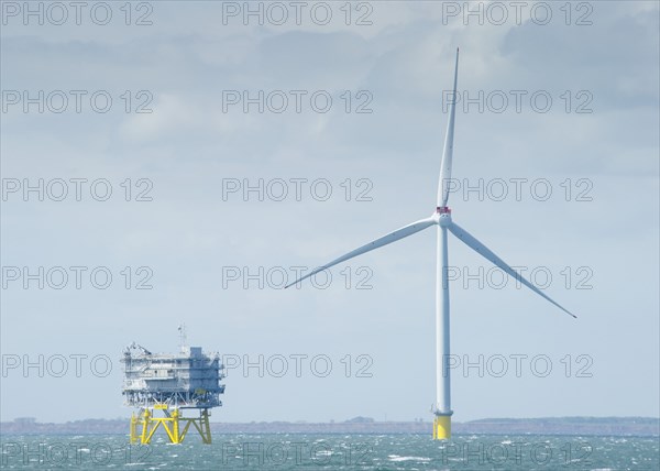 Westermost Rough Wind Farm, 2015. Creator: Alun Bull.