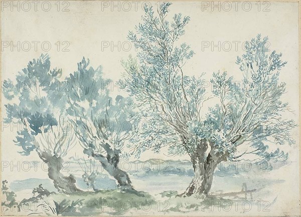 Three Willow Trees, n.d.