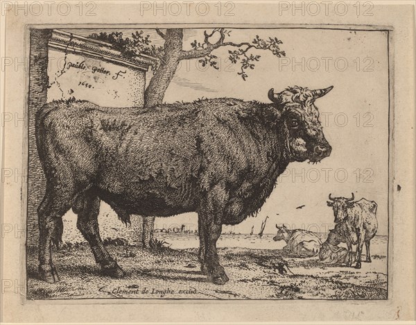 Bull, 1650. Creator: Paulus Potter.