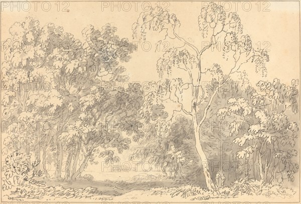 Wooded Landscape. Creator: Anthony Devis.